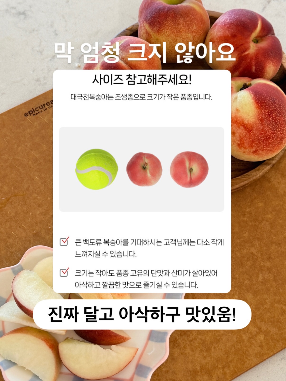 핀 디렉터 세미나 과정 8