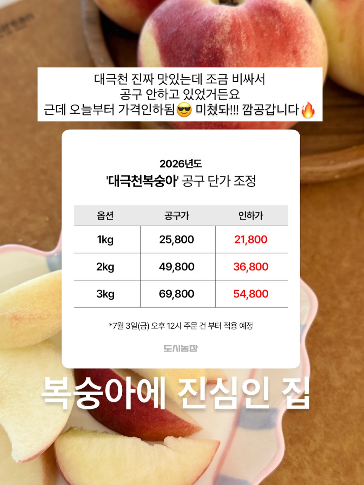 핀 디렉터 세미나 과정 10