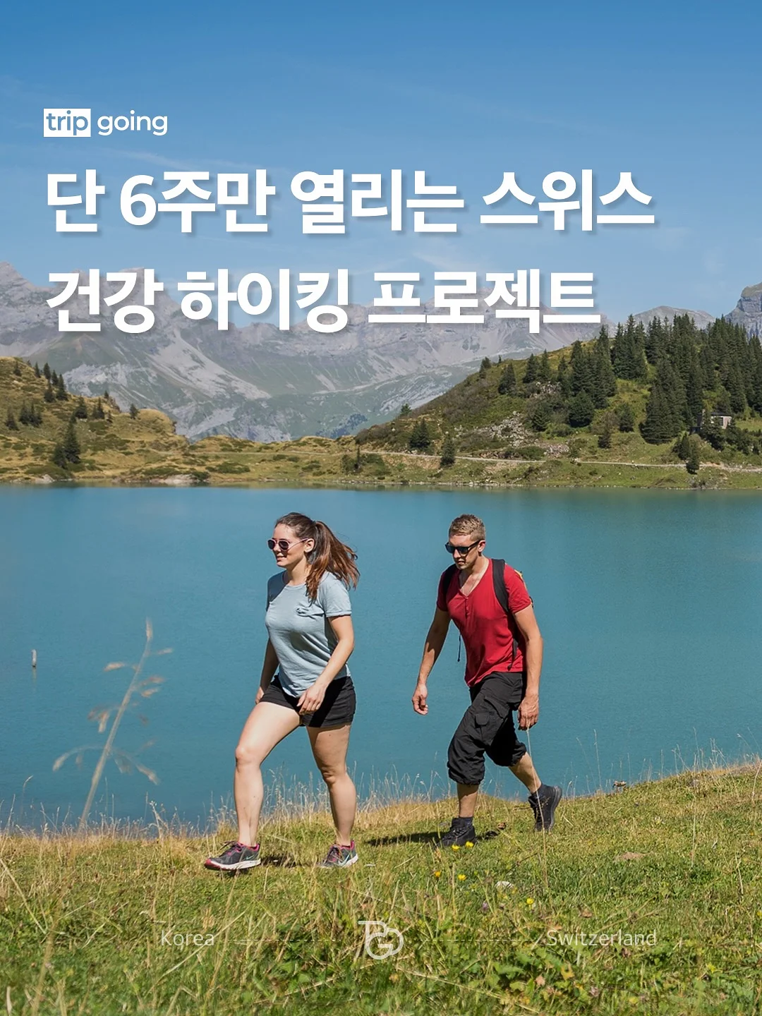 저스트글로우 파이토 슬림 밸런스 1