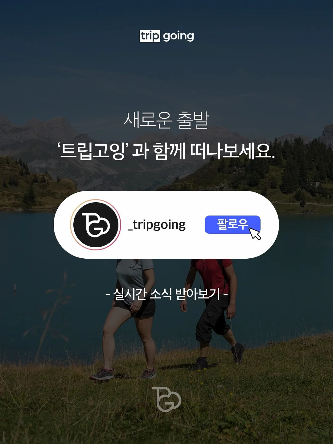 저스트글로우 파이토 슬림 밸런스 12