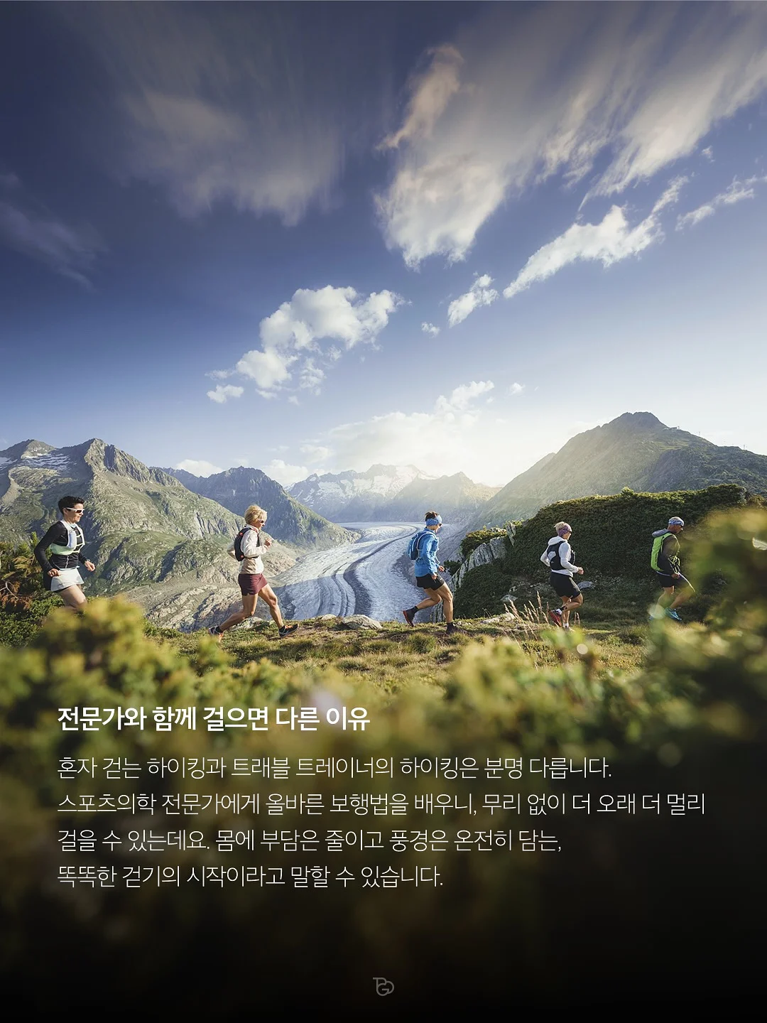 저스트글로우 파이토 슬림 밸런스 5
