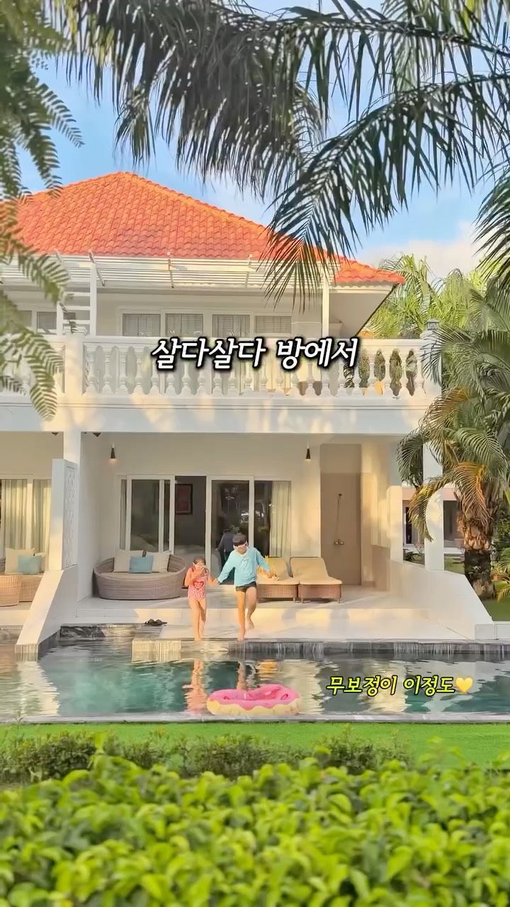 양파 조합