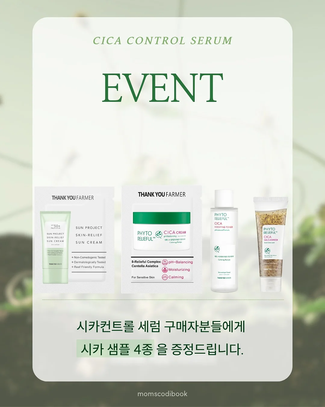 수제 화과자 16