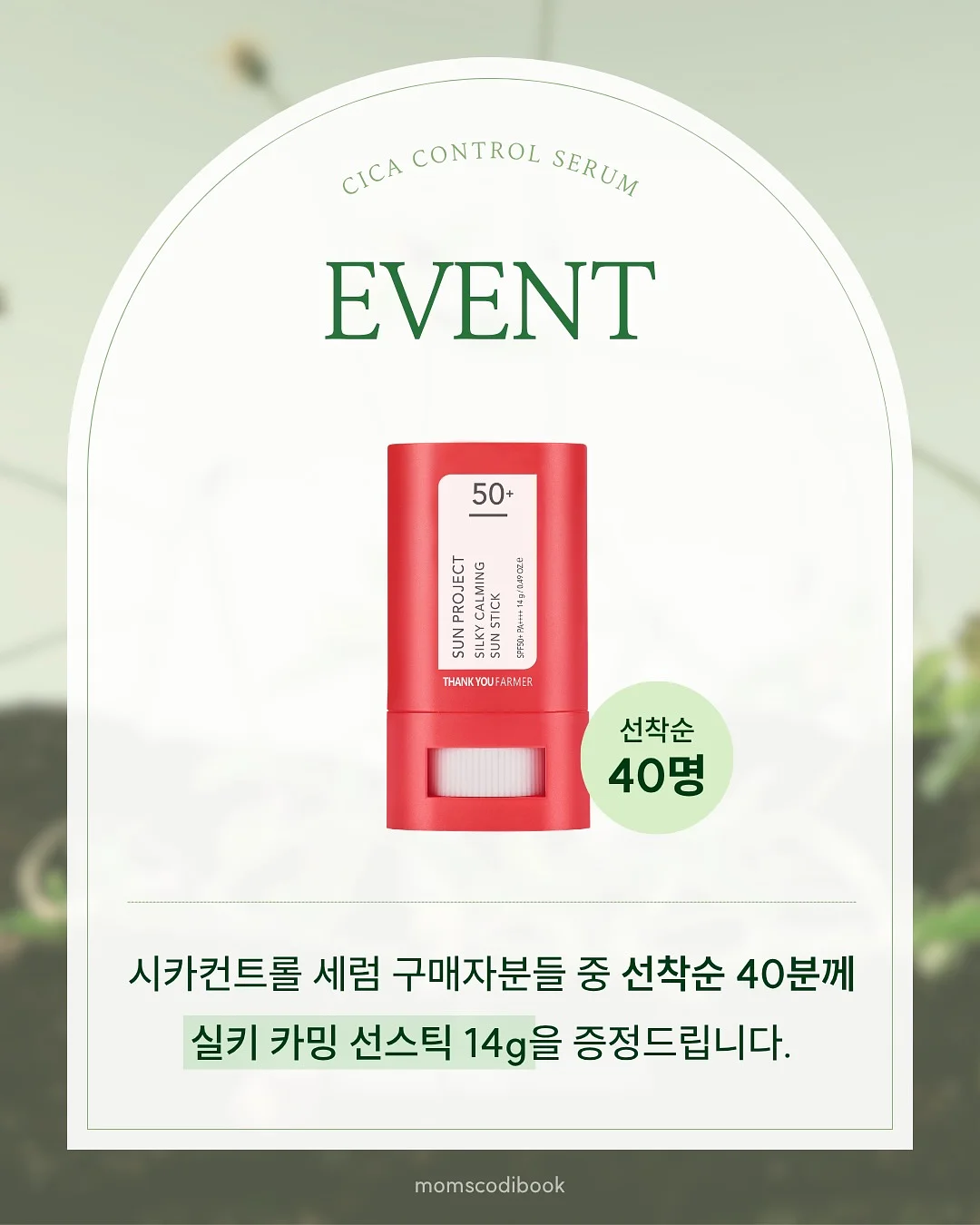 수제 화과자 17