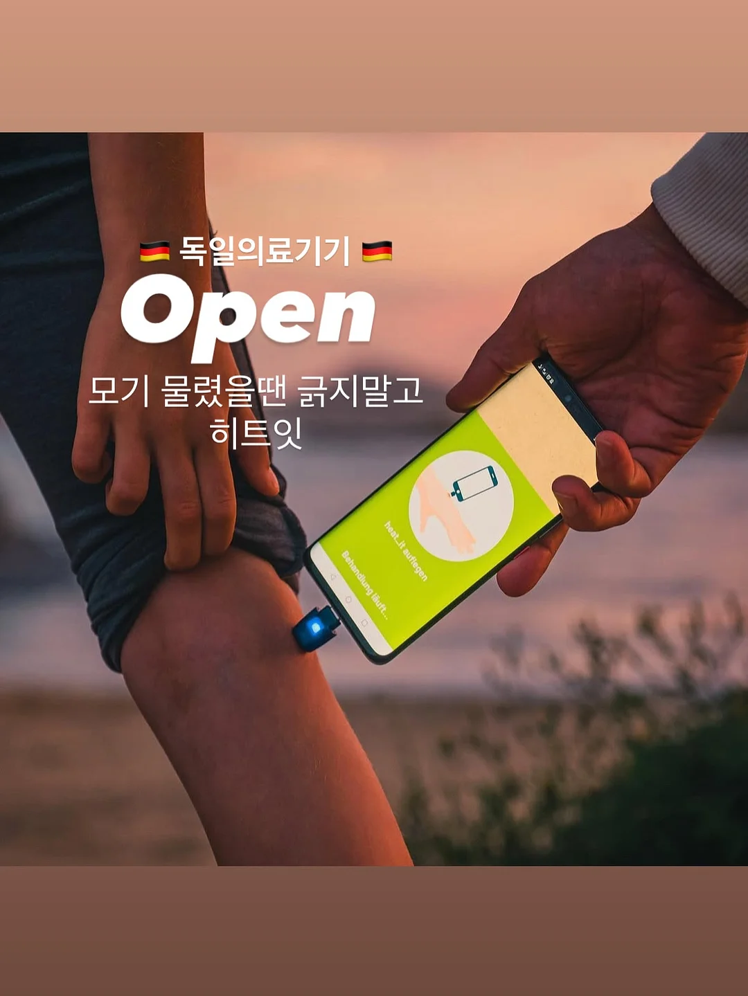 무화과나무 1