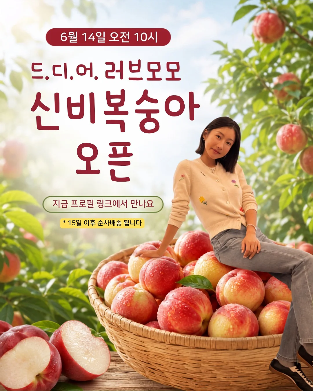 스카프니트 1