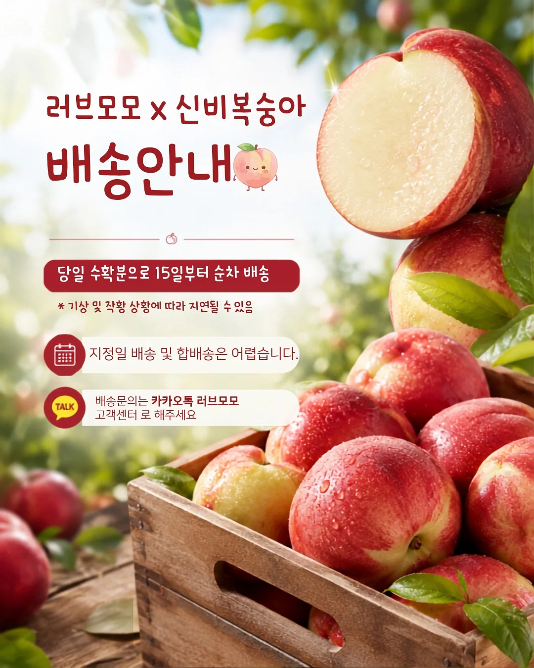 스카프니트 2