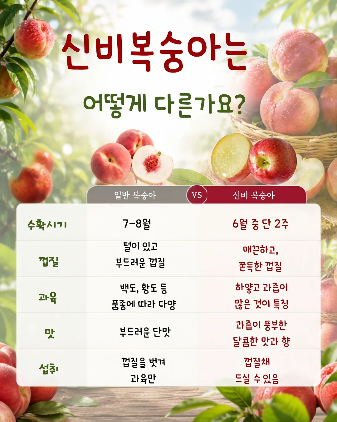 스카프니트 3