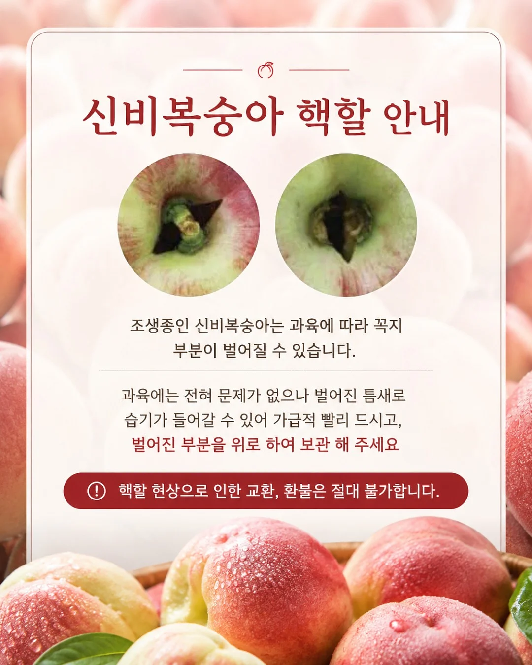 스카프니트 5