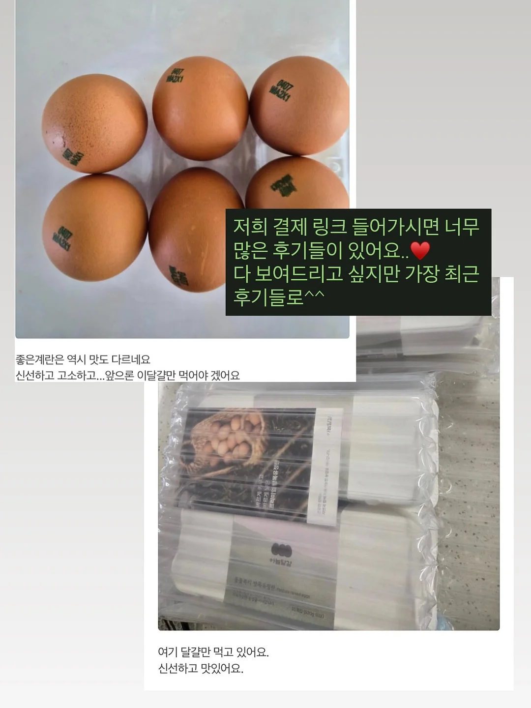 트래블 라운지 클럽 와인 파티 5