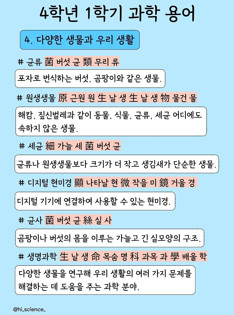 사각지대 미러 6
