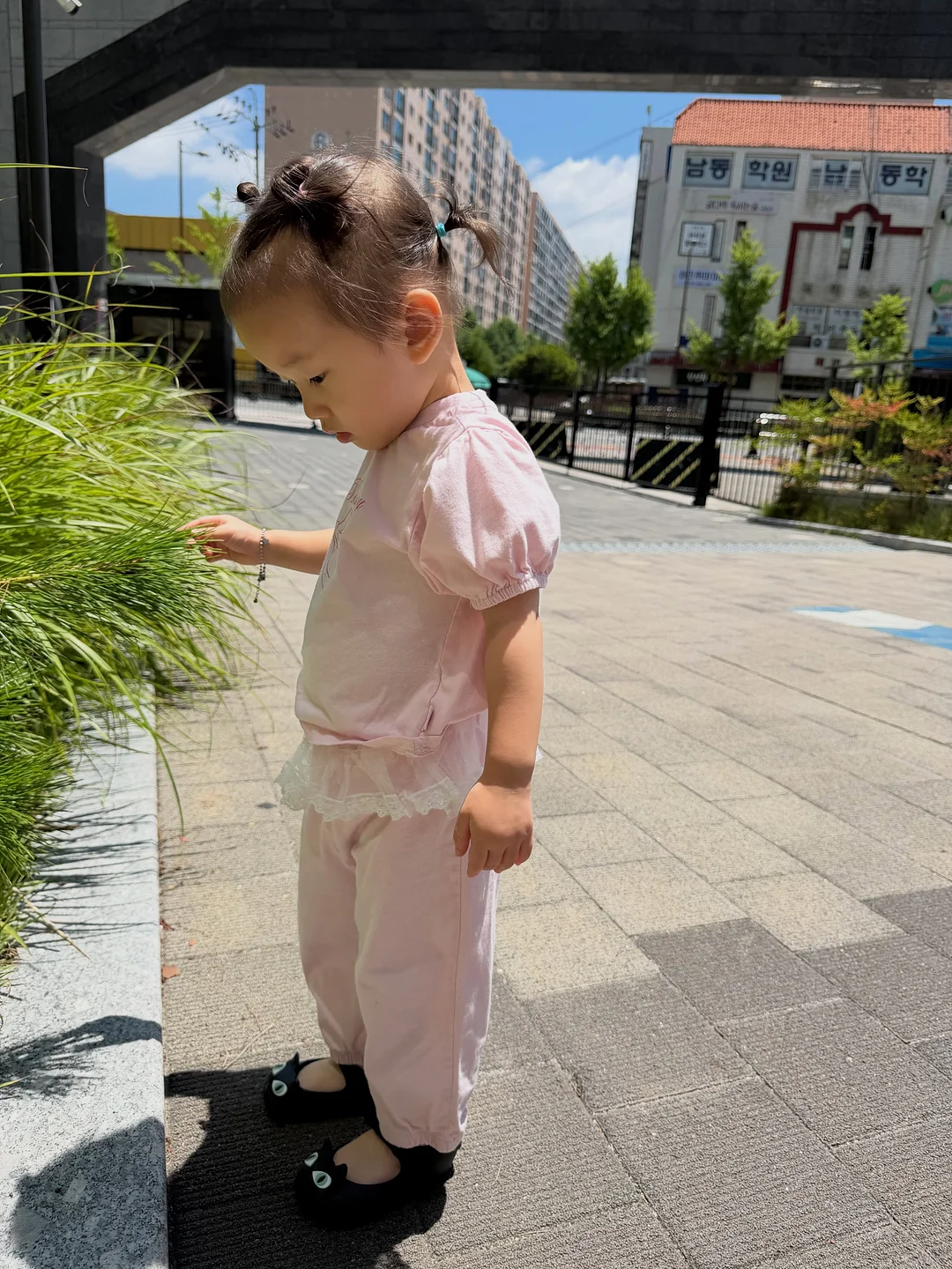 키세인 오드아이 페이퍼 사쉐 10