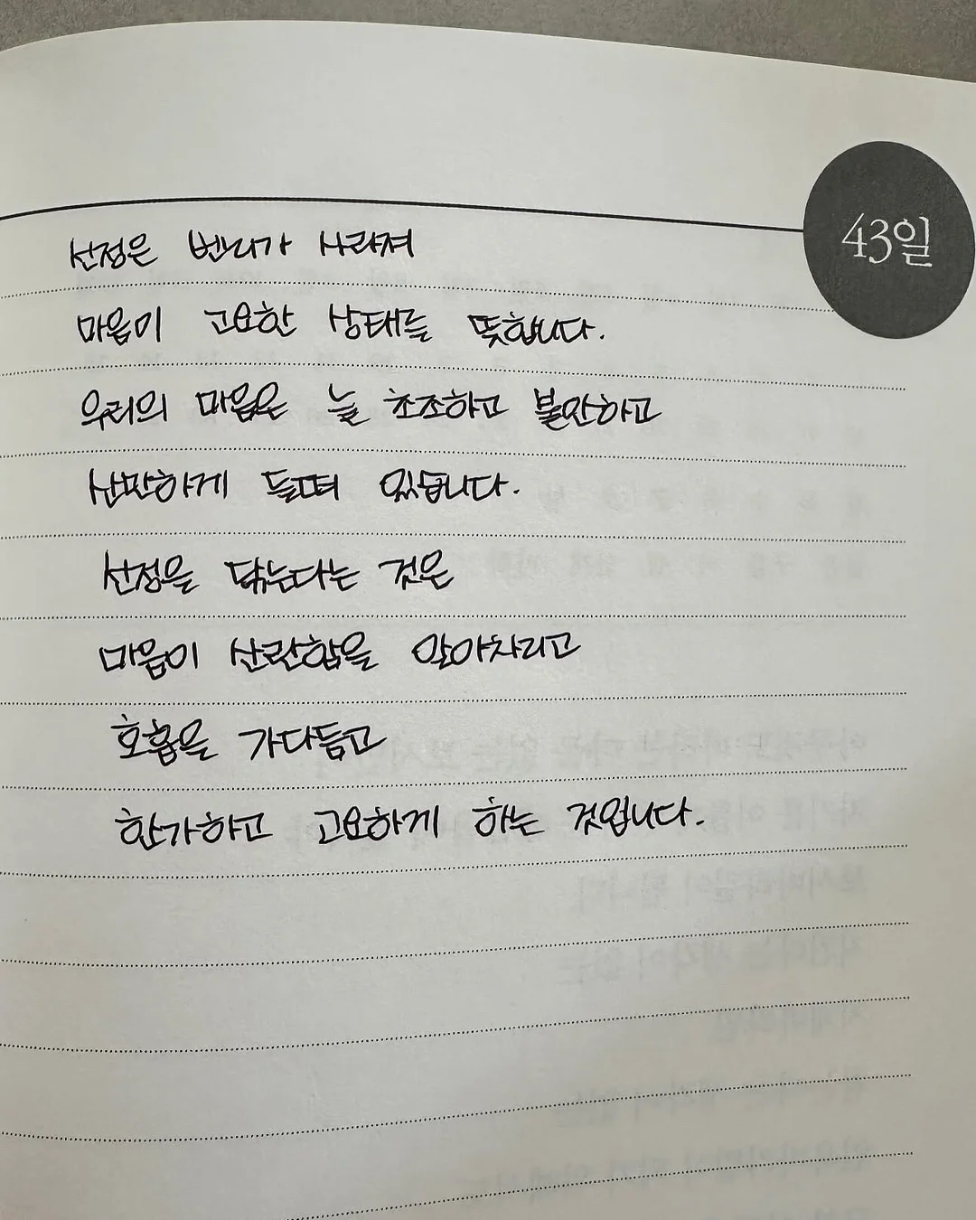 오디에르 셔링 오프숄더 티셔츠 6