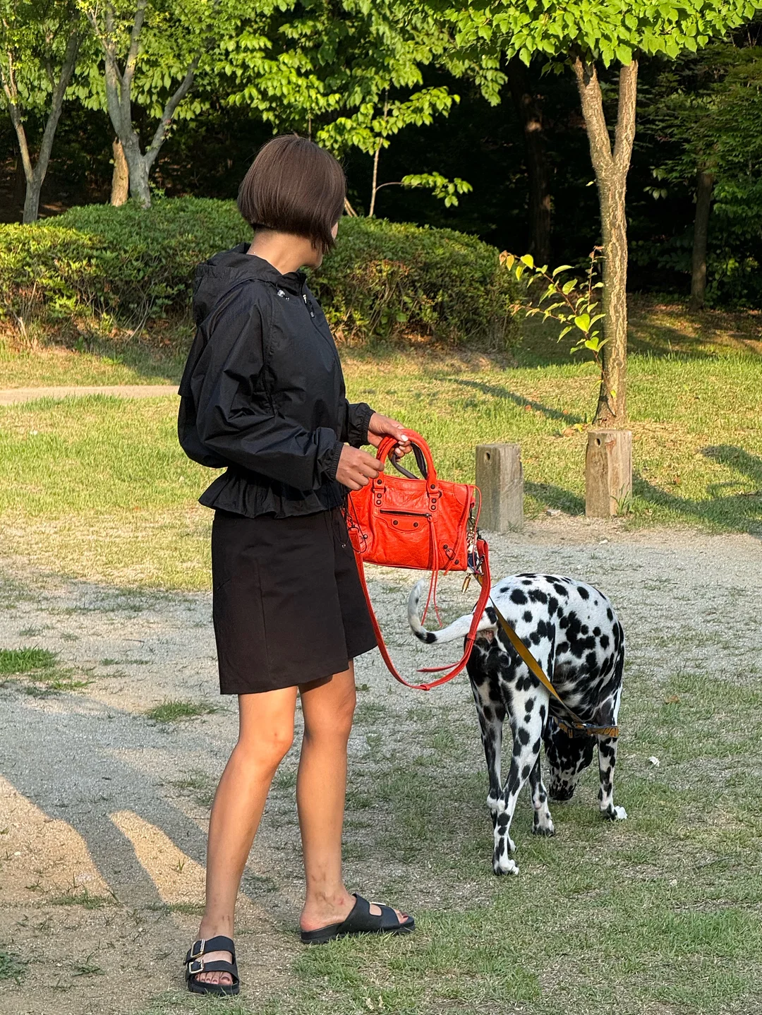 수유등 11