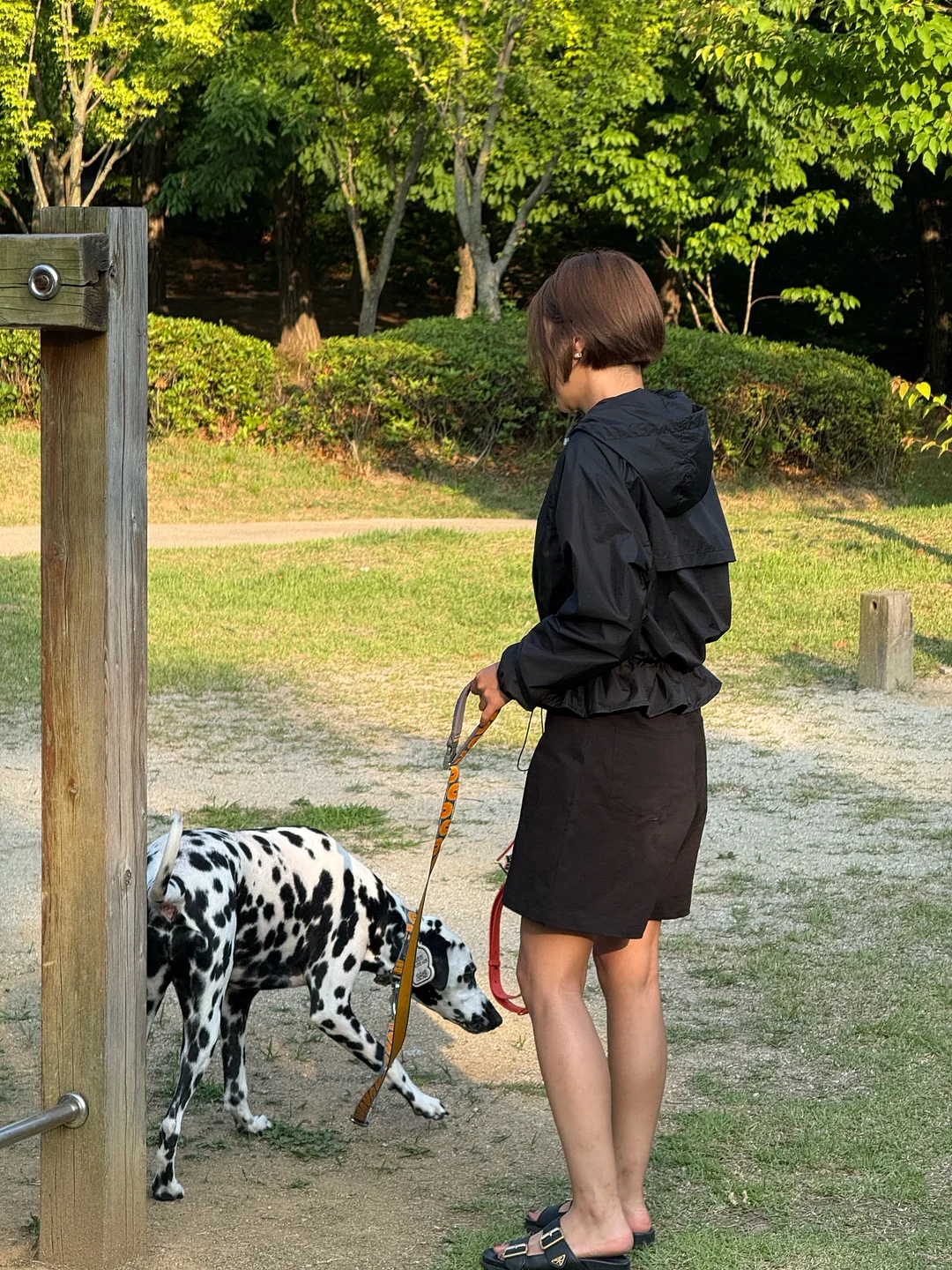 수유등 6