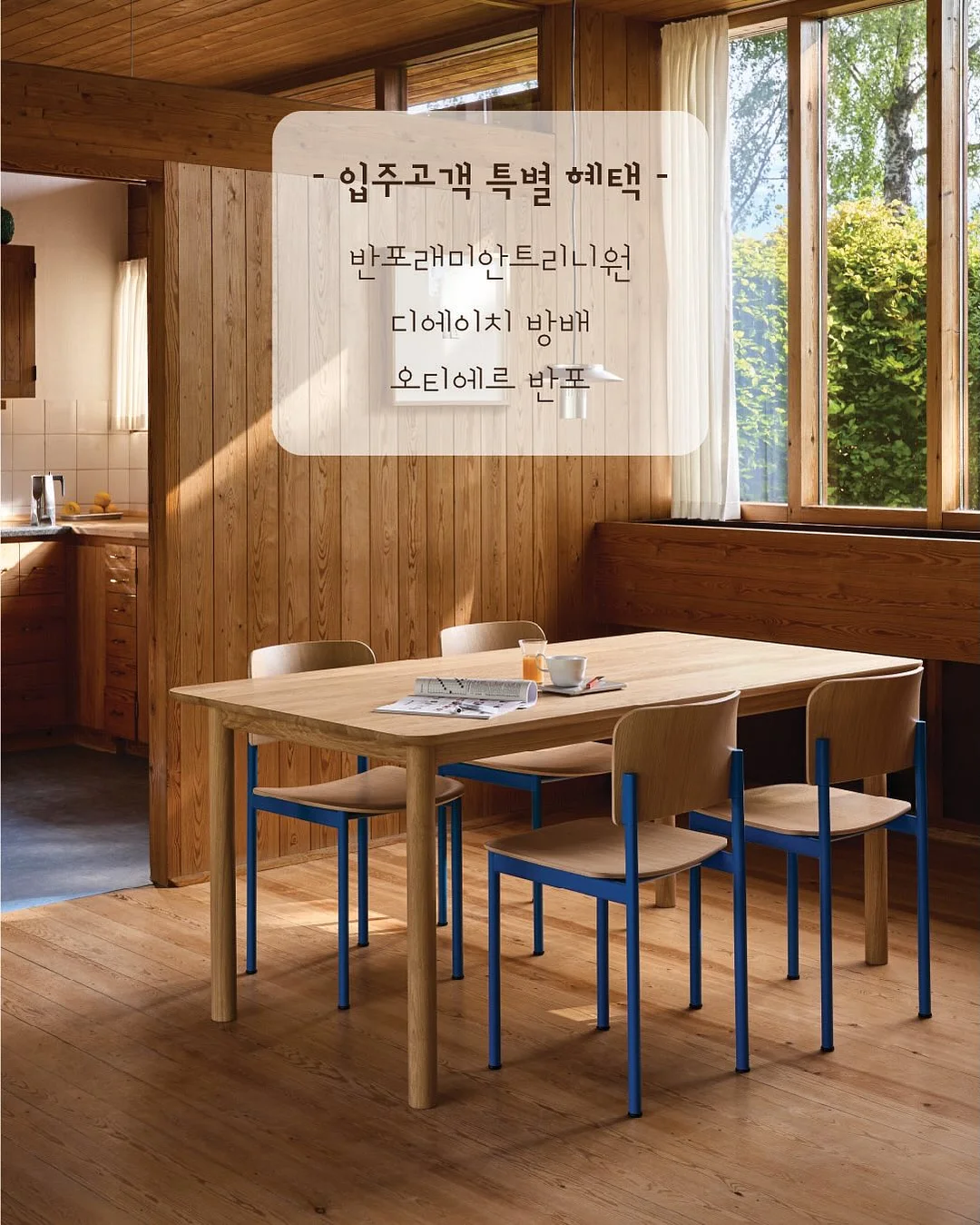 온 가족 청결제 20