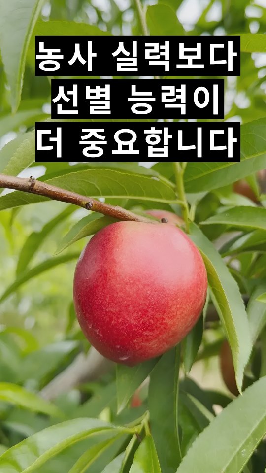 경자국밥