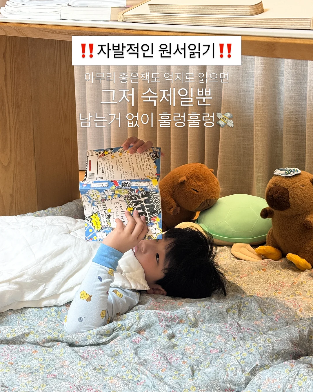 픽시카겔 2