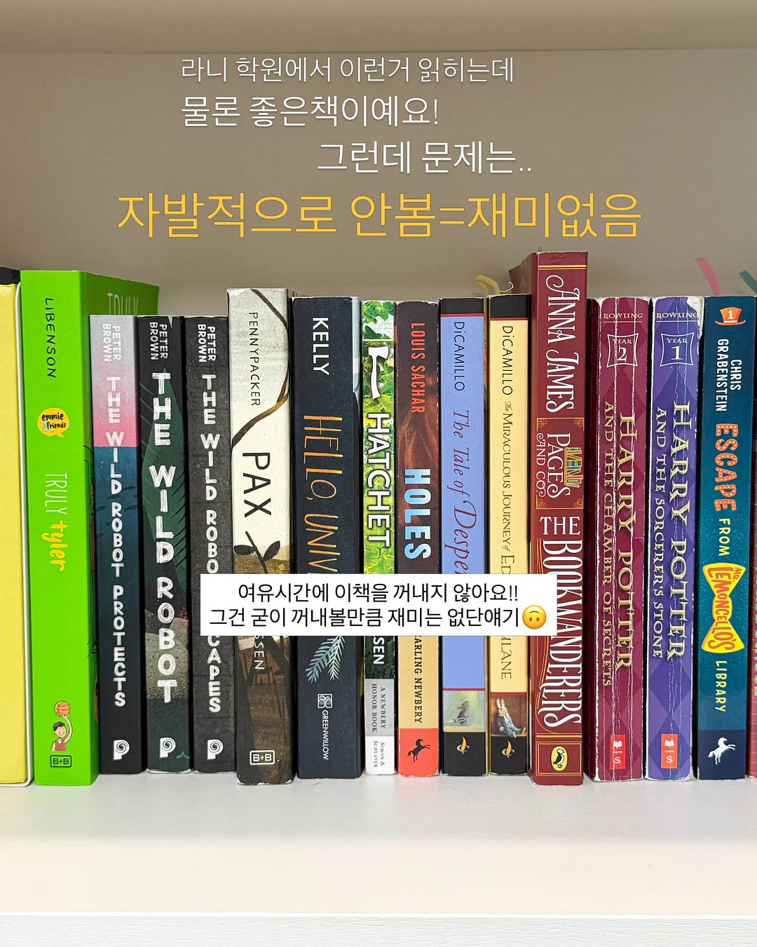 픽시카겔 3
