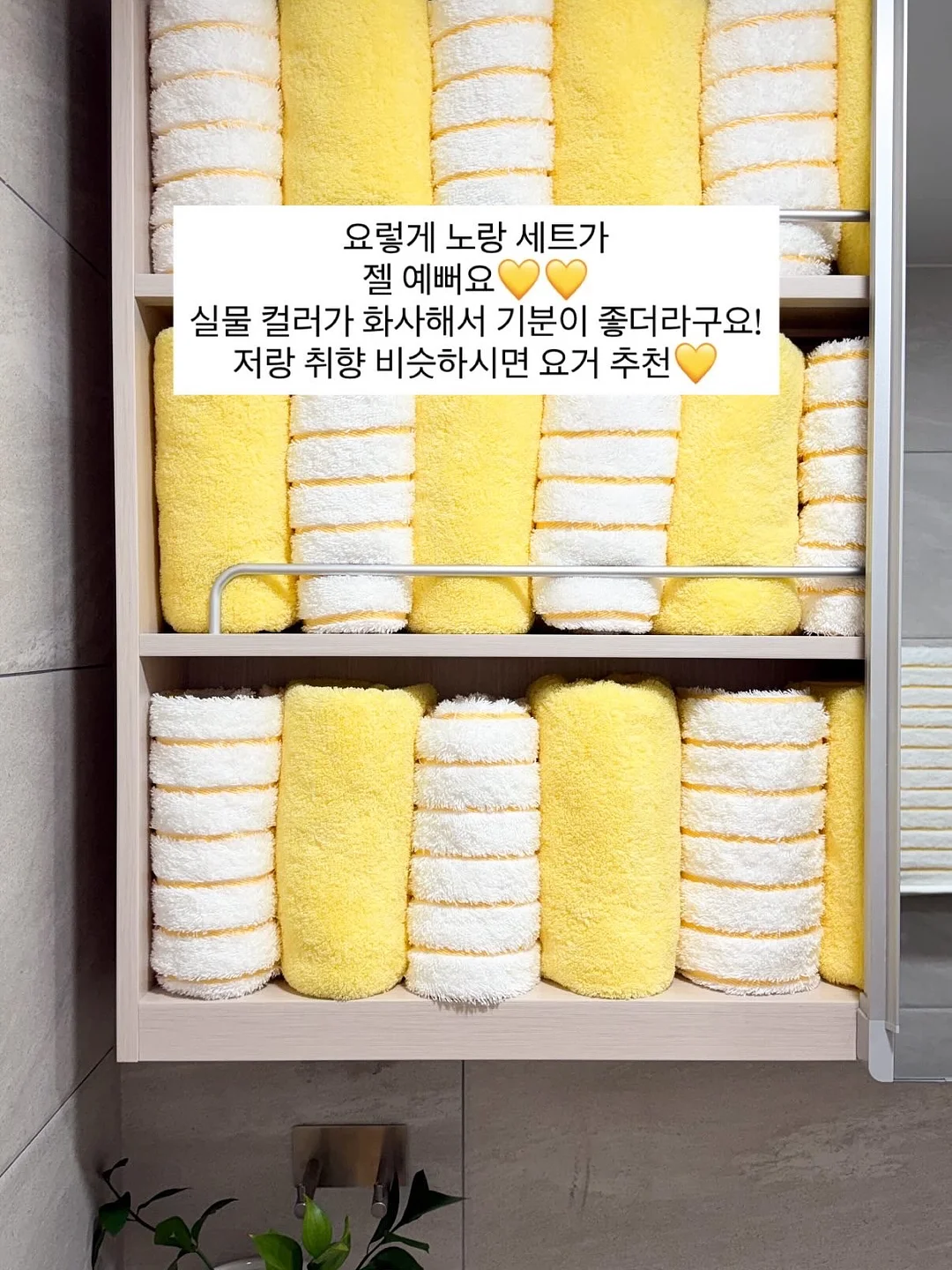 흰머리 커버 루틴 5