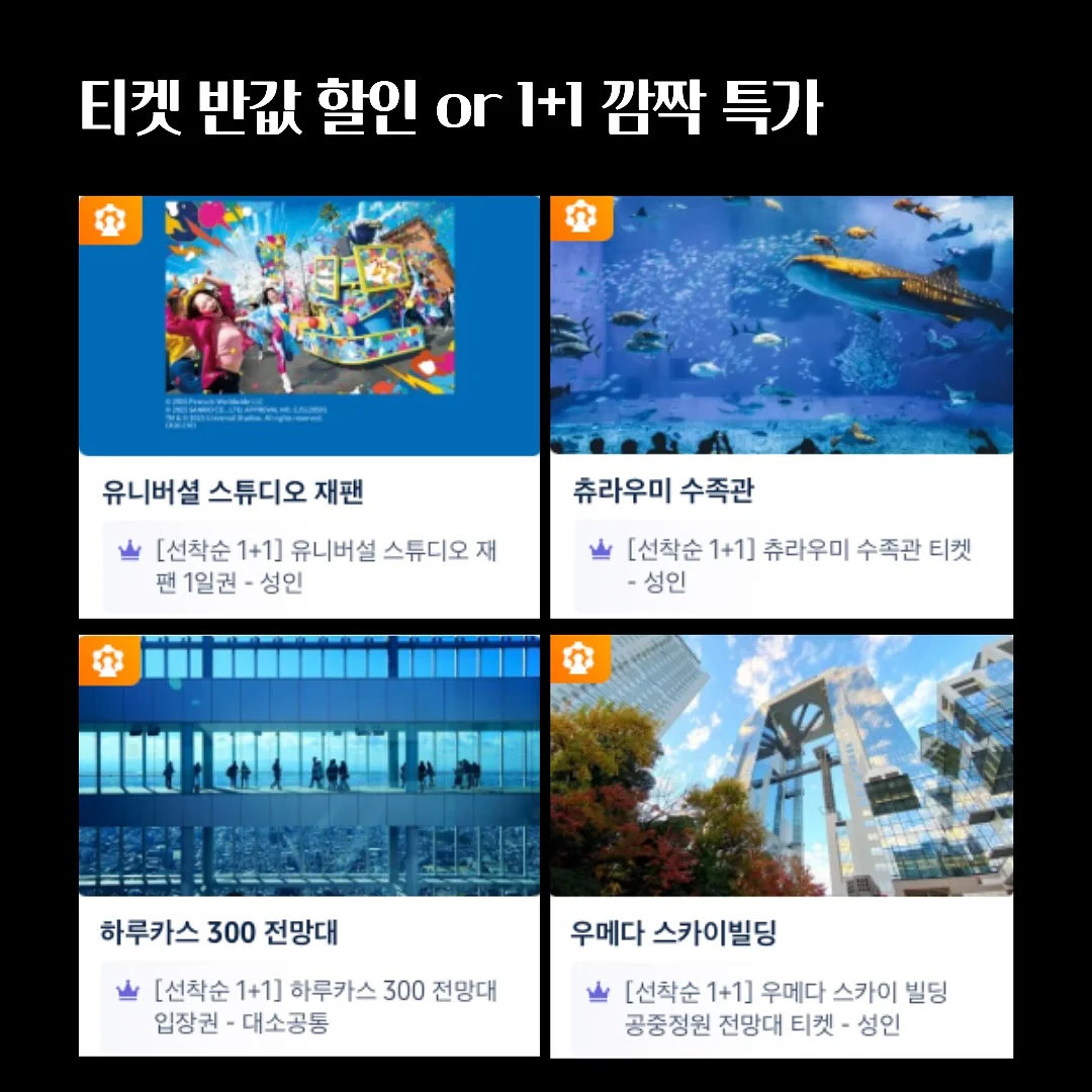컬러스판티 6