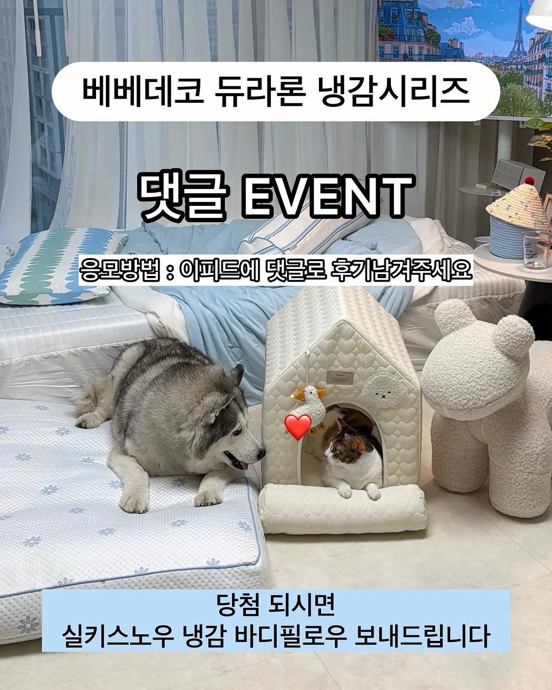 상견례 케이크 1