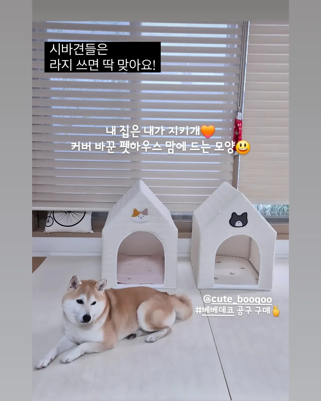 상견례 케이크 16