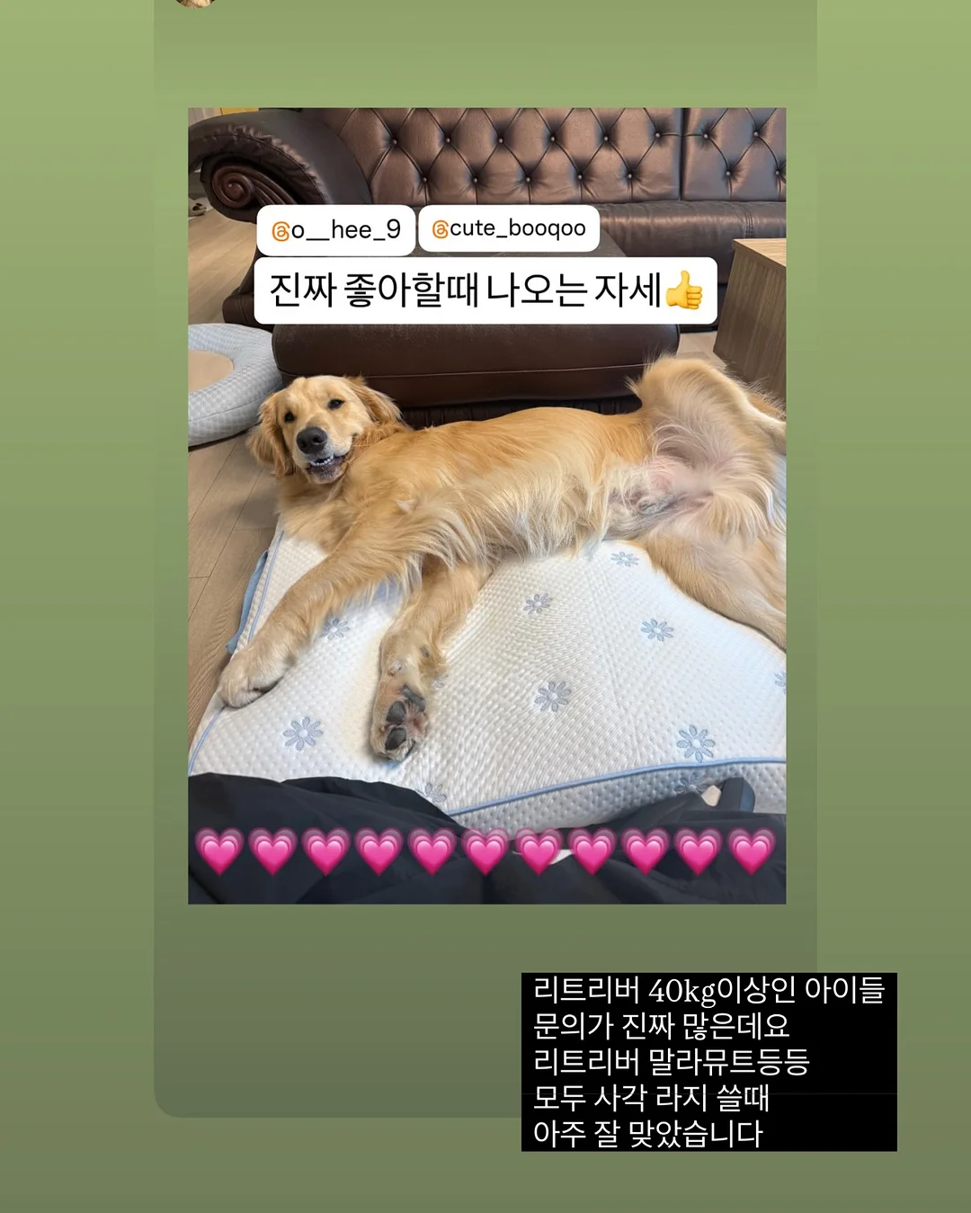 상견례 케이크 17