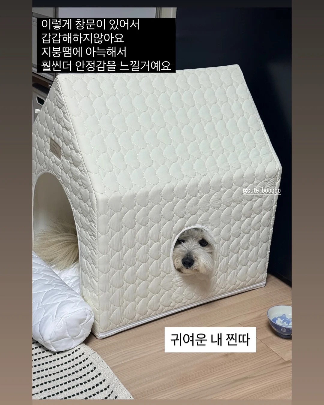 상견례 케이크 18