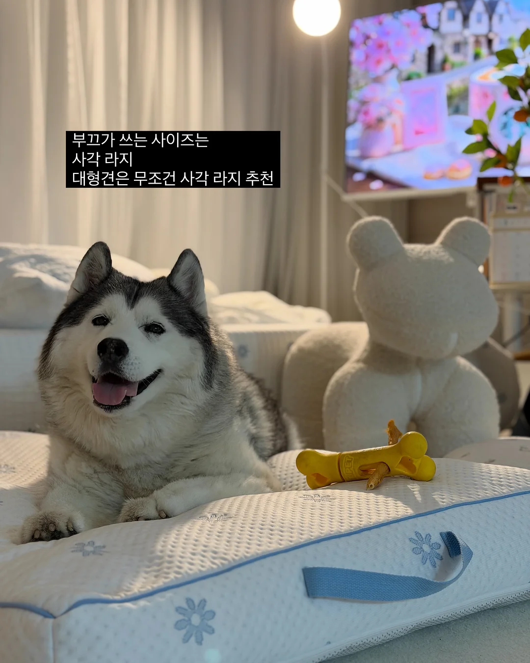 상견례 케이크 3