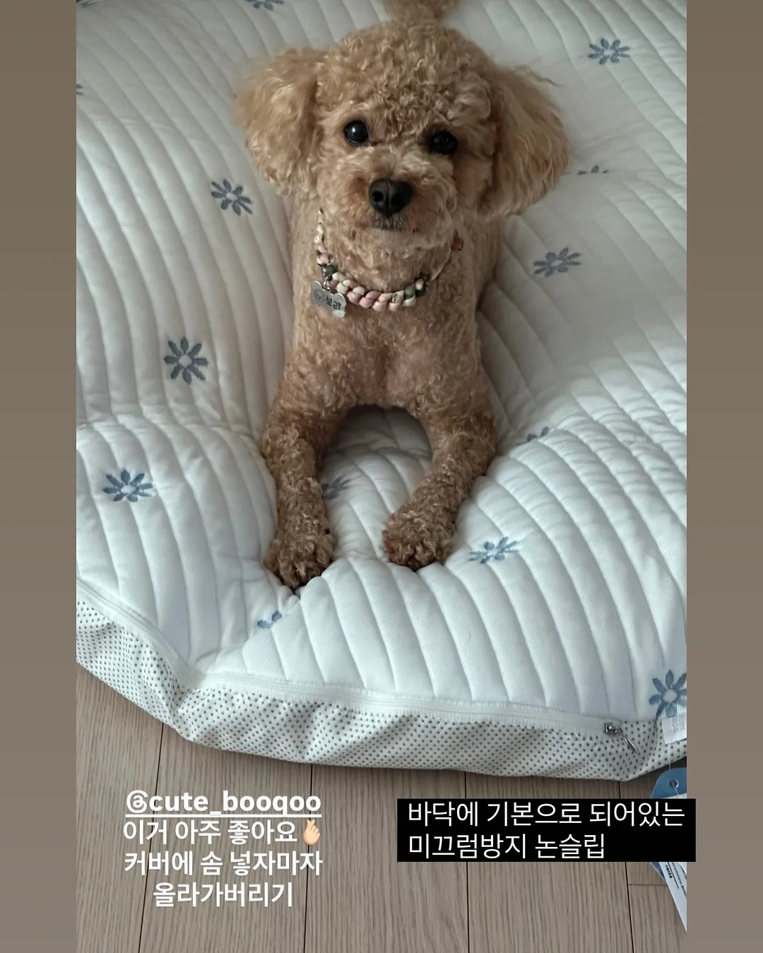 상견례 케이크 6