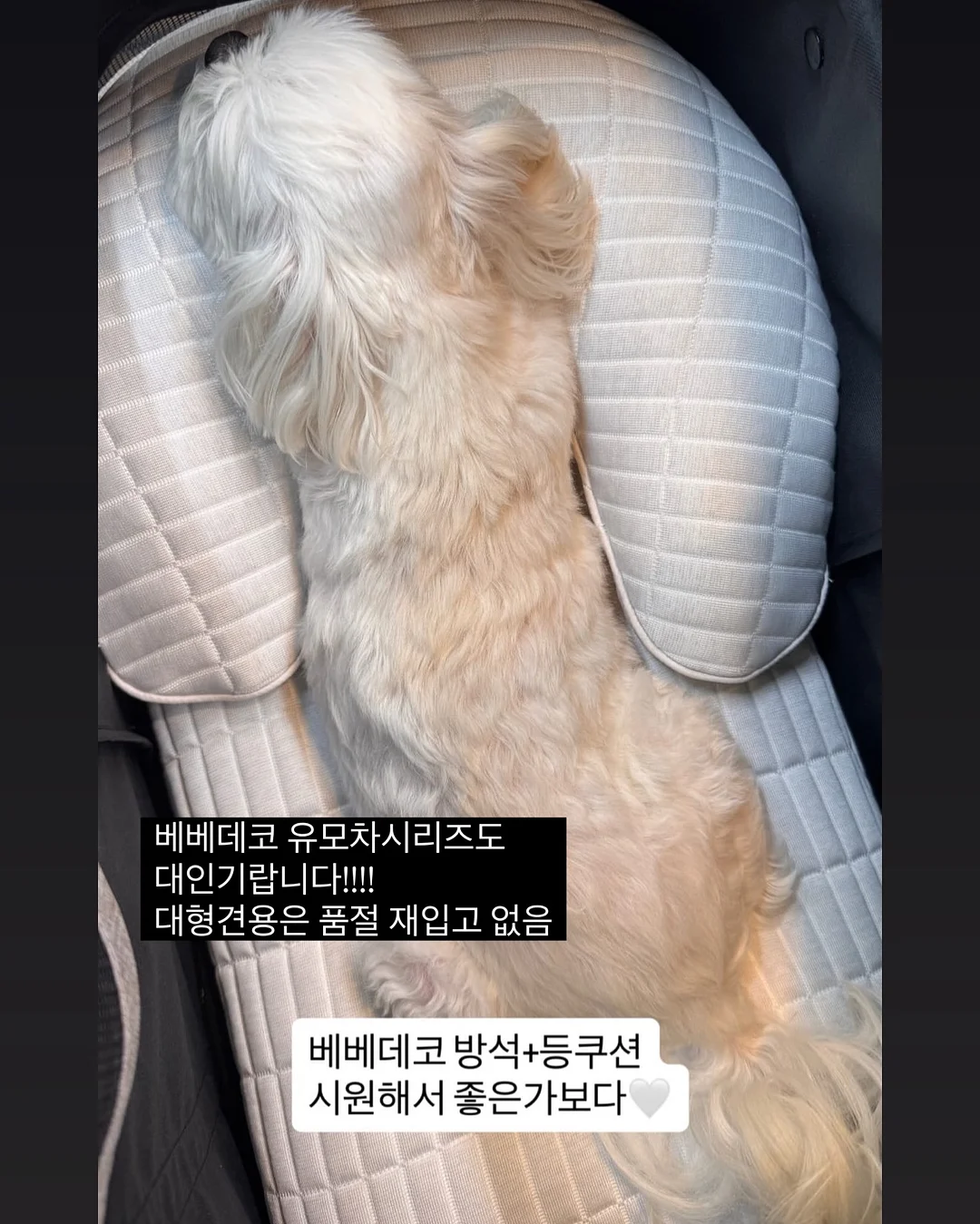 상견례 케이크 9