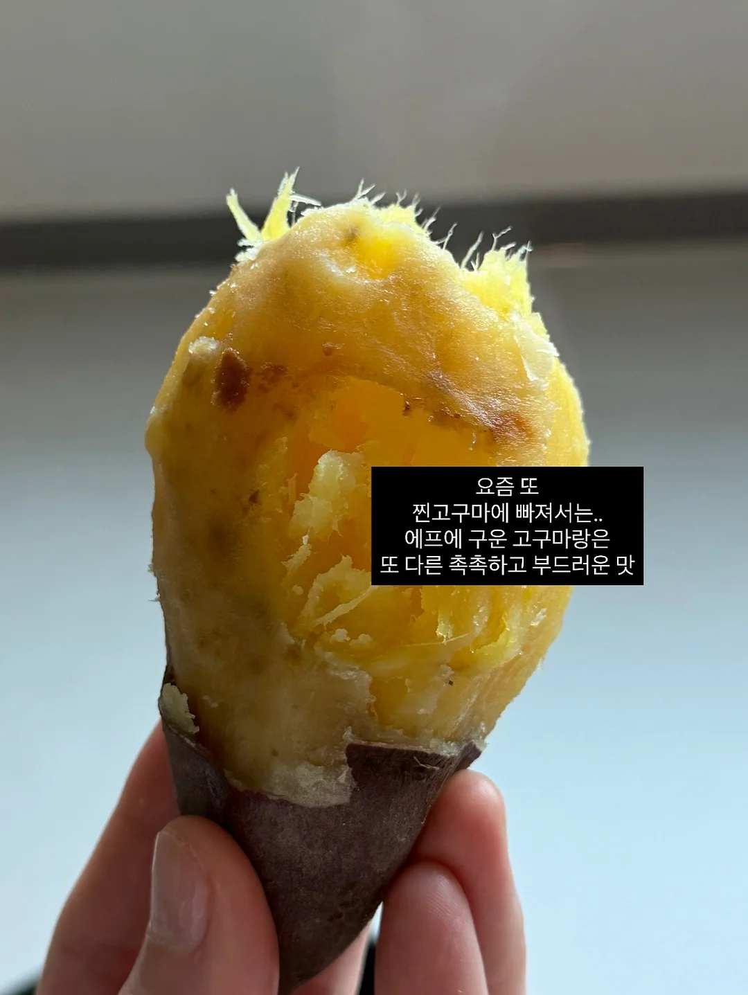 보타니스트 샴푸 7