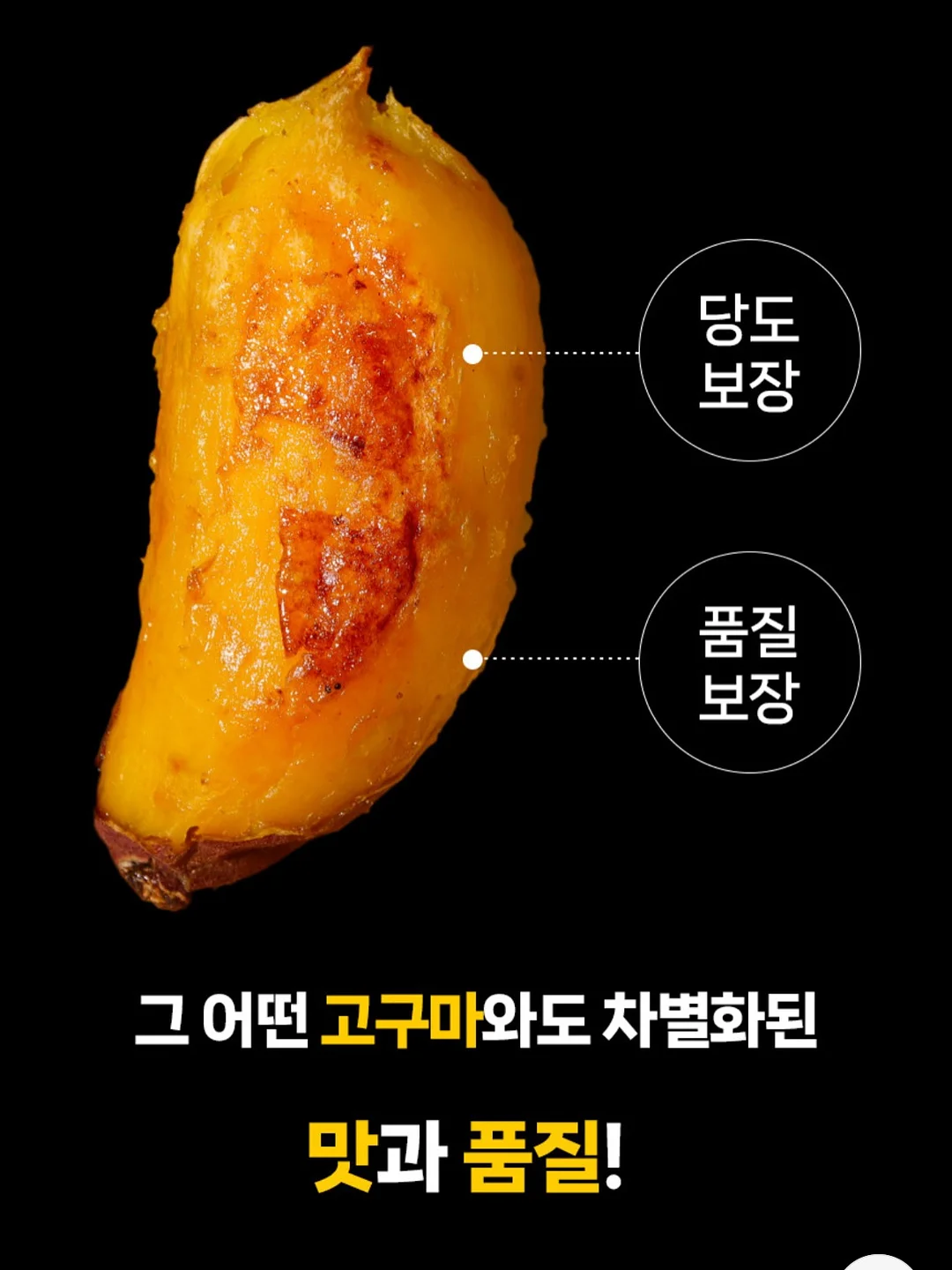 보타니스트 샴푸 8