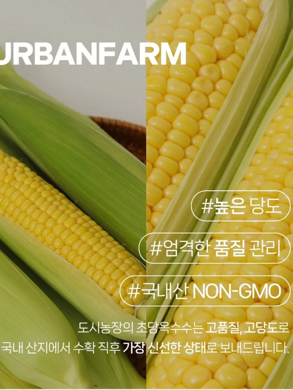 보타니스트 샴푸 9