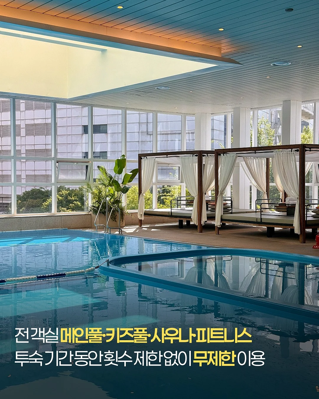 블루베리 시금치 포도 간식 3