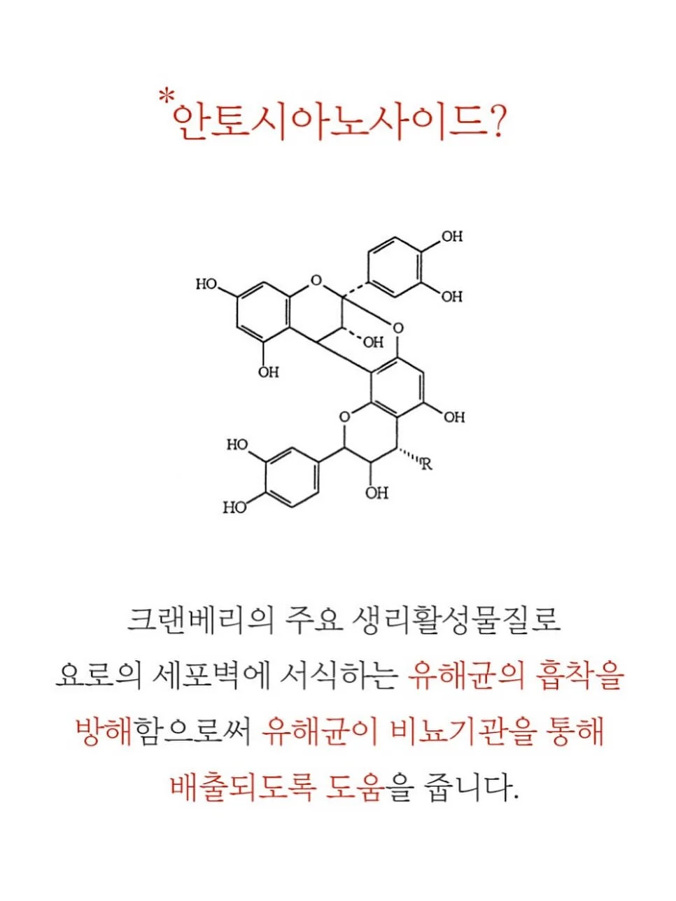 가디건, 나시, 팬츠 3종 세트 18