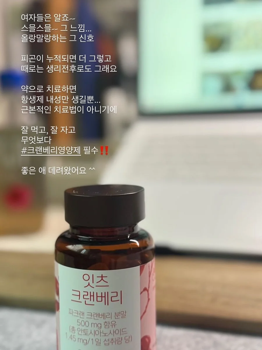 가디건, 나시, 팬츠 3종 세트 5