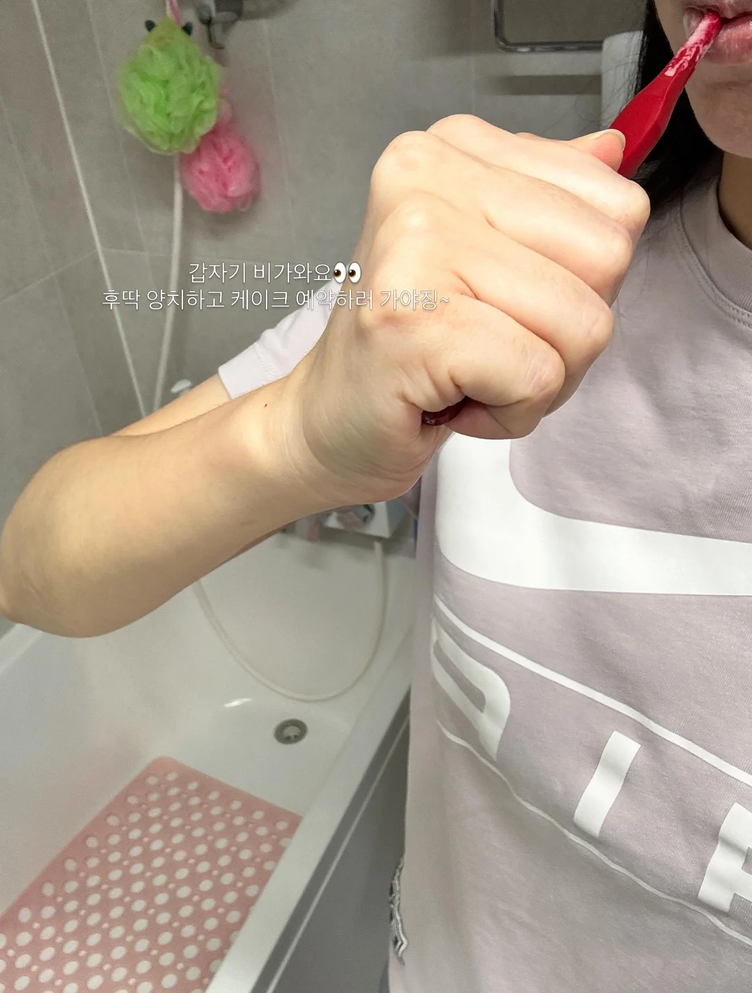 쁘띠데쥬네 글라스 자 4