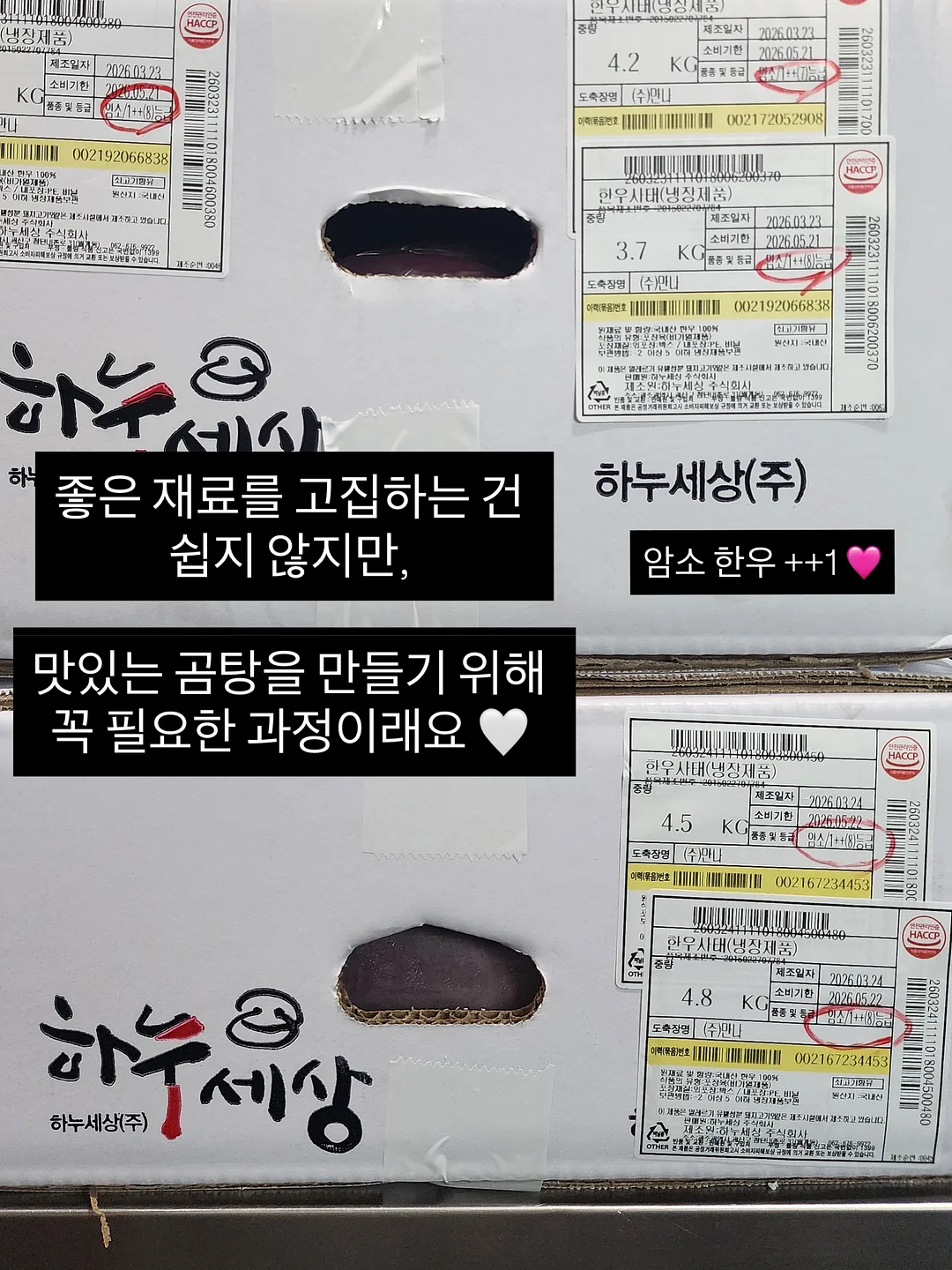 재사용 간식통 5
