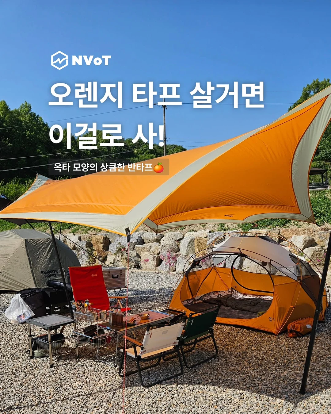 얼리샵 pH 멀티팩 1