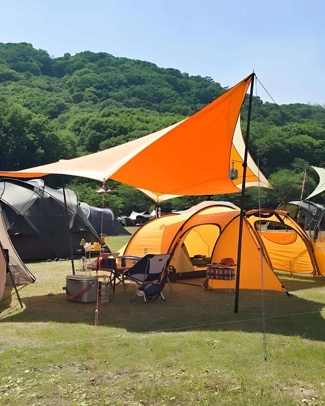 얼리샵 pH 멀티팩 3