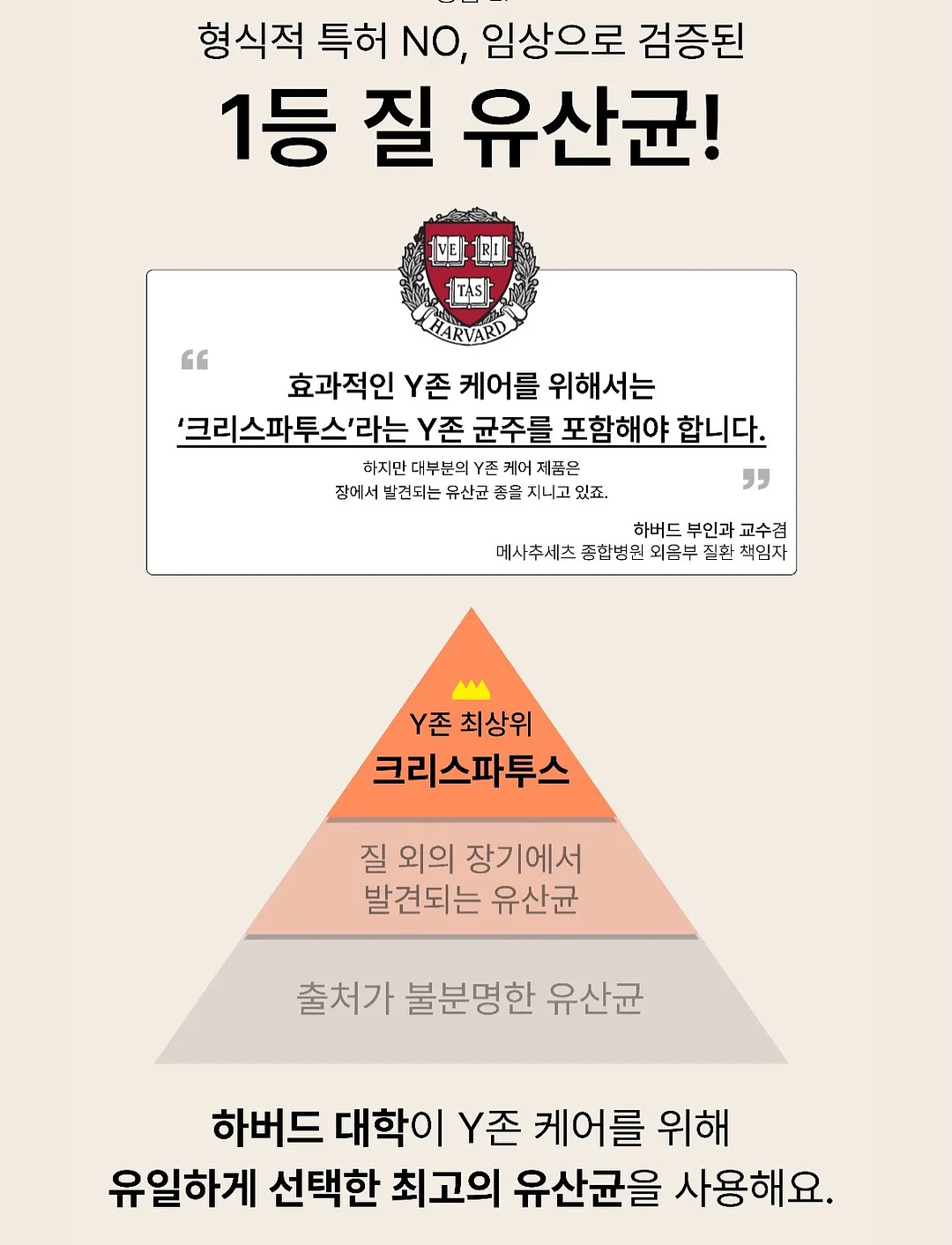 굿럭 빅 세라믹 머그컵 + 스푼 세트 12