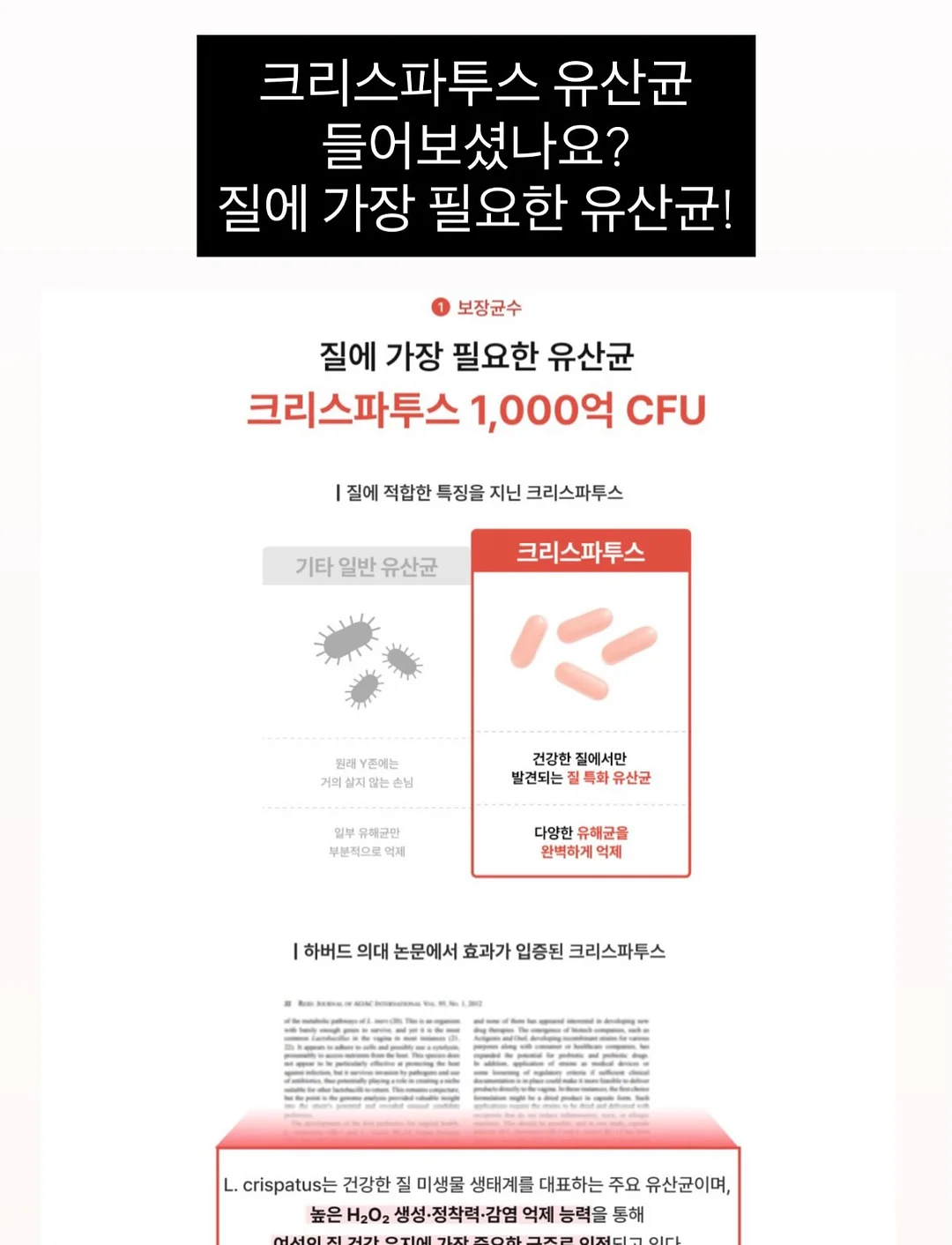 굿럭 빅 세라믹 머그컵 + 스푼 세트 9