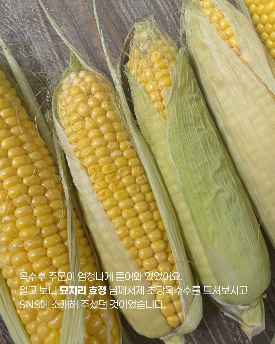 파이브텍스쳐 구름토너 4