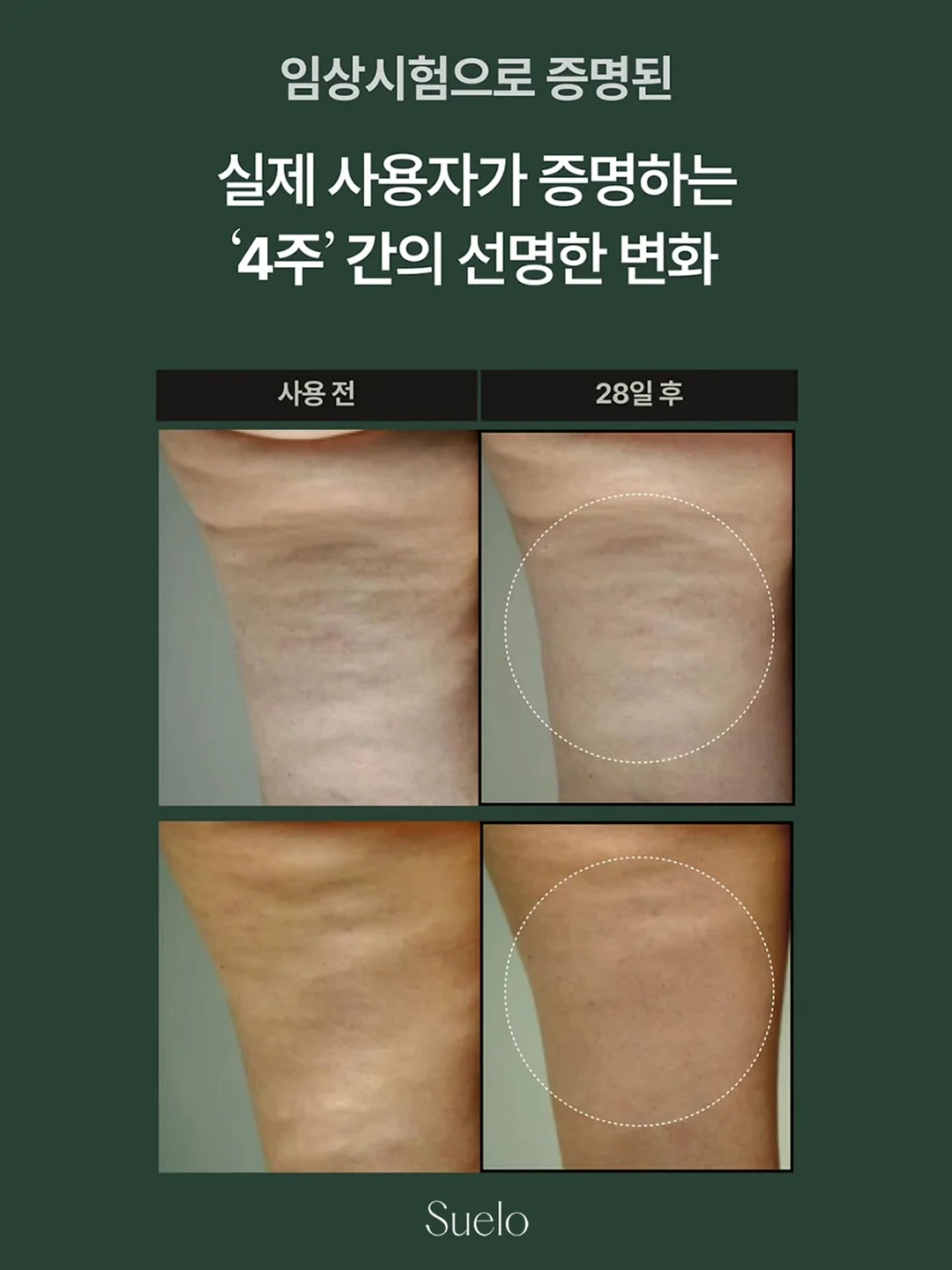 단체선물 12