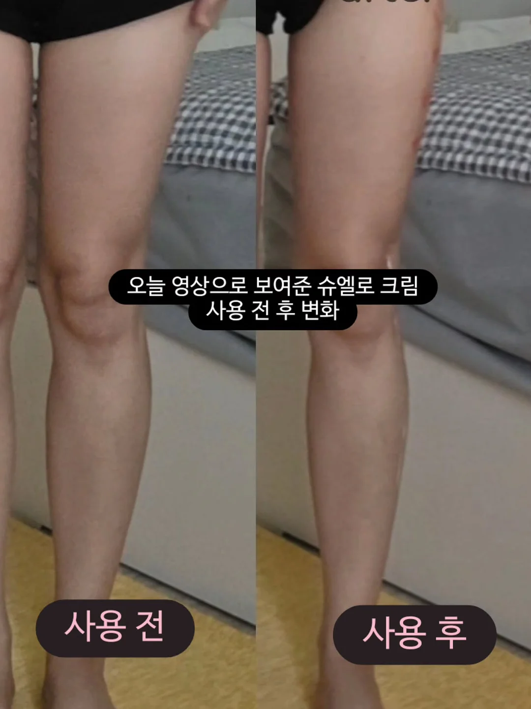 단체선물 2