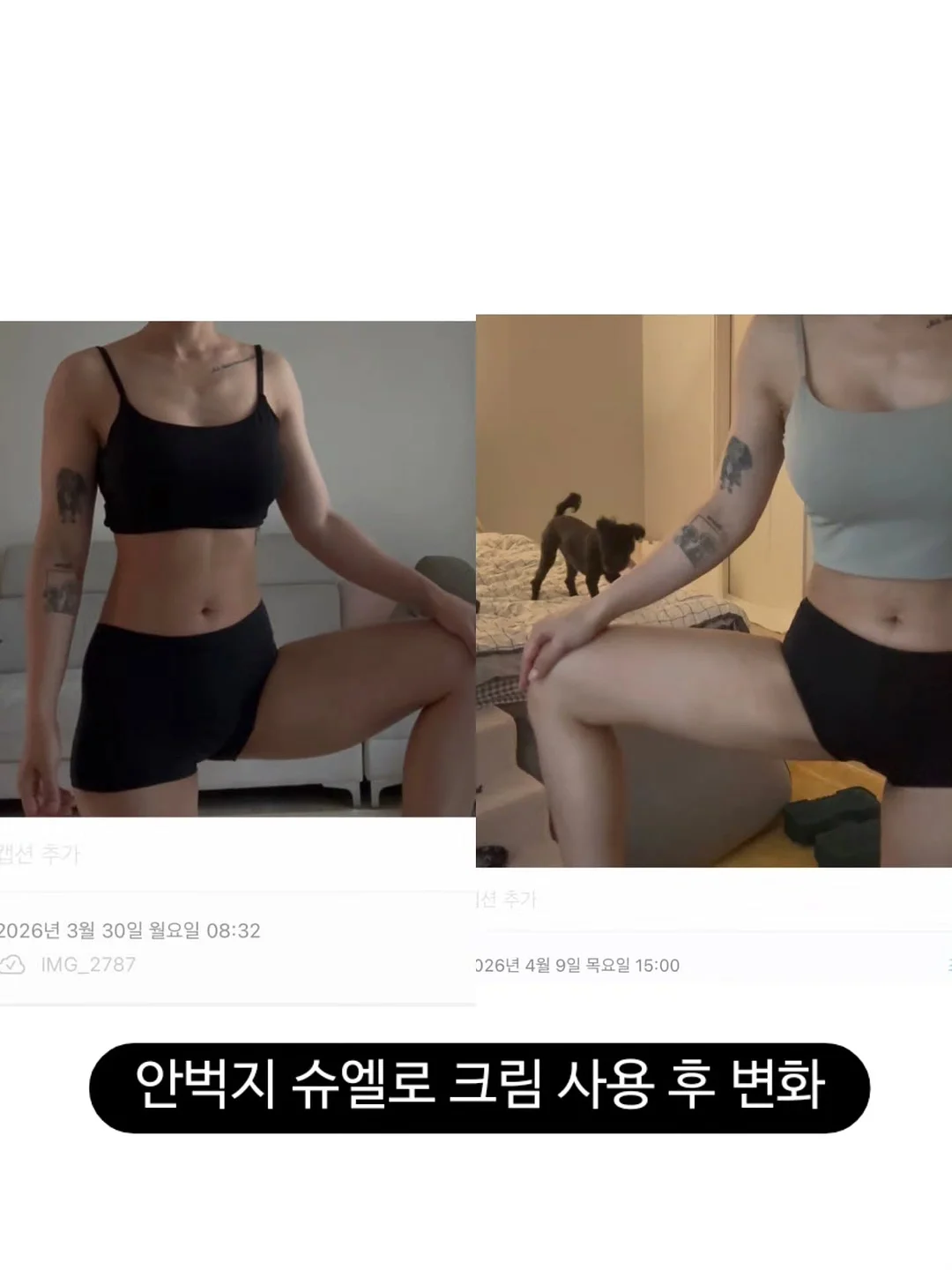 단체선물 7