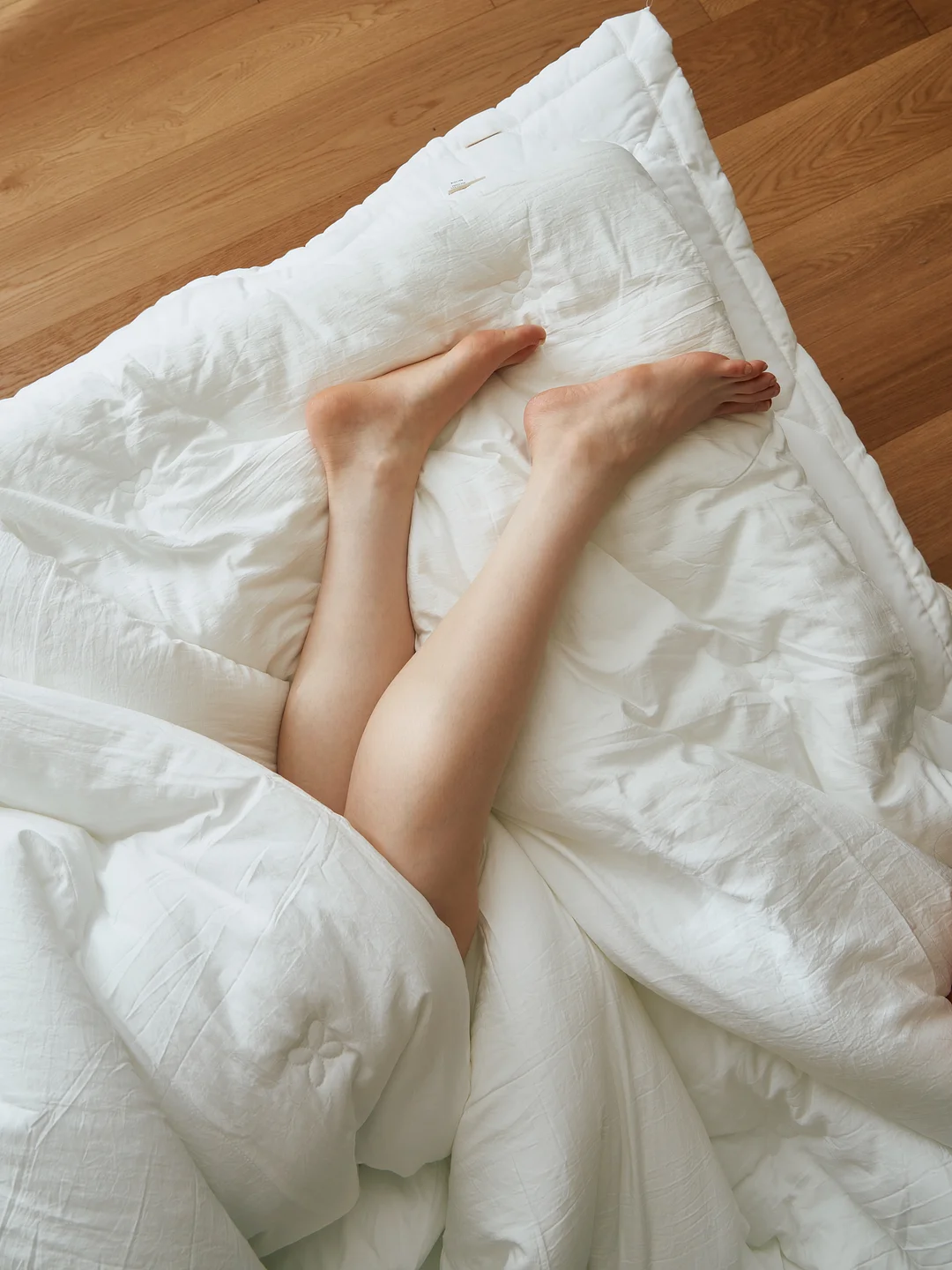 단백질빵 요거트빵 7