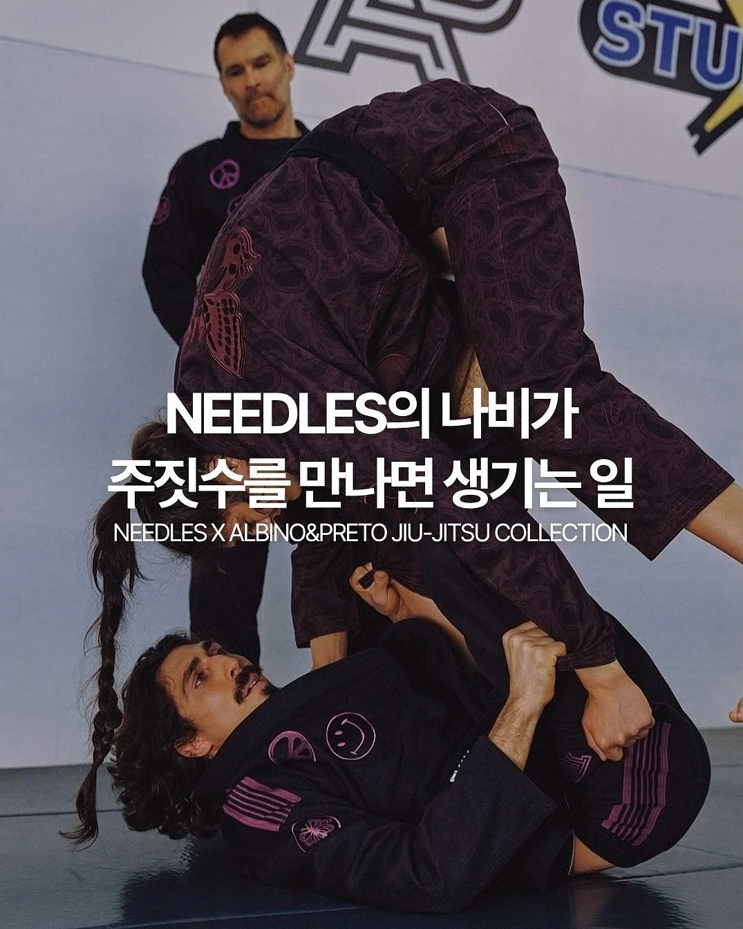 남해안 최상급 고바멸치 1.5kg 1
